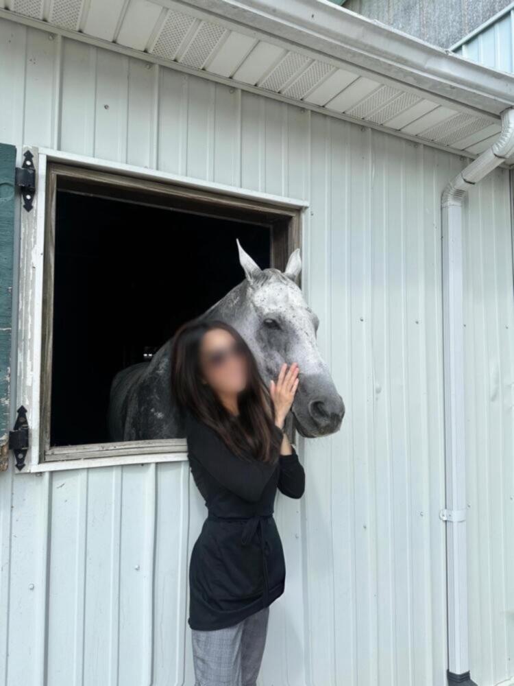 Woman is with a horse. Horse is gray.